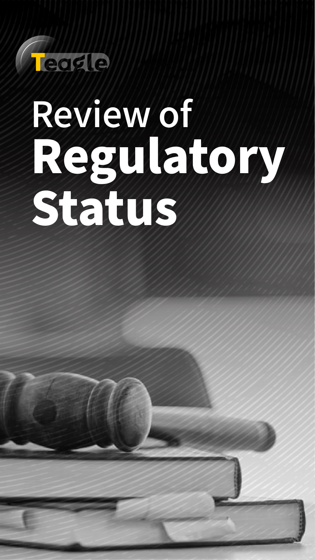 4- Tigel Media-Regulatory Status Review